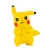 POKE27.webp