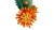 L60.webp