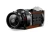 L19.webp