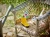 L43.webp