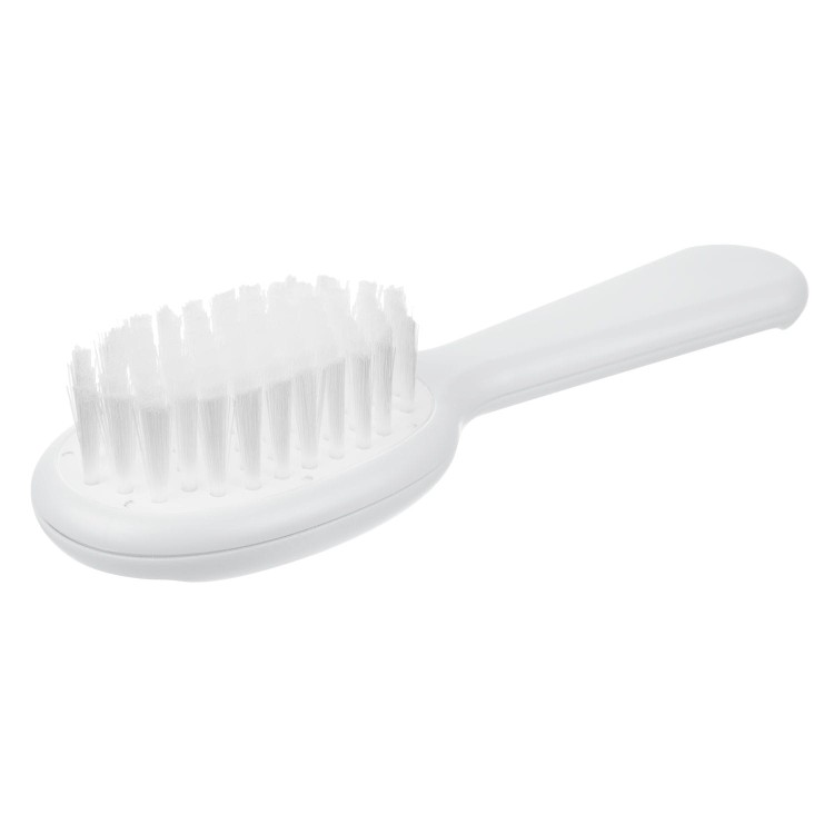 158.jpg