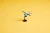 LEGO21.webp