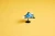 LEGO20.webp