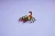 lego27.webp