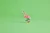 31170_Lifestyle_Envr_A_en-gb.webp