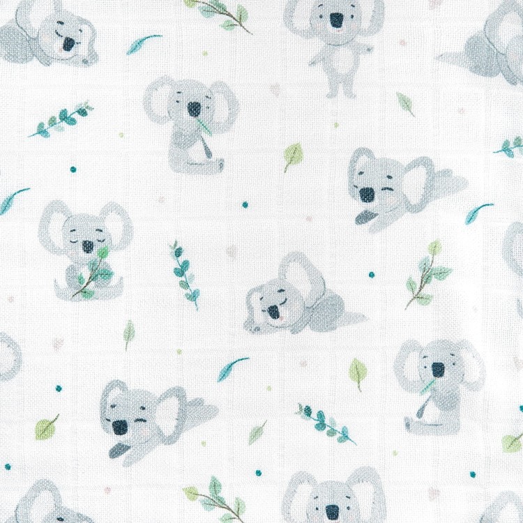 koala1.jpg